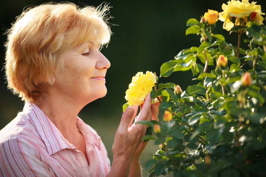 Elder Care Services in Utah